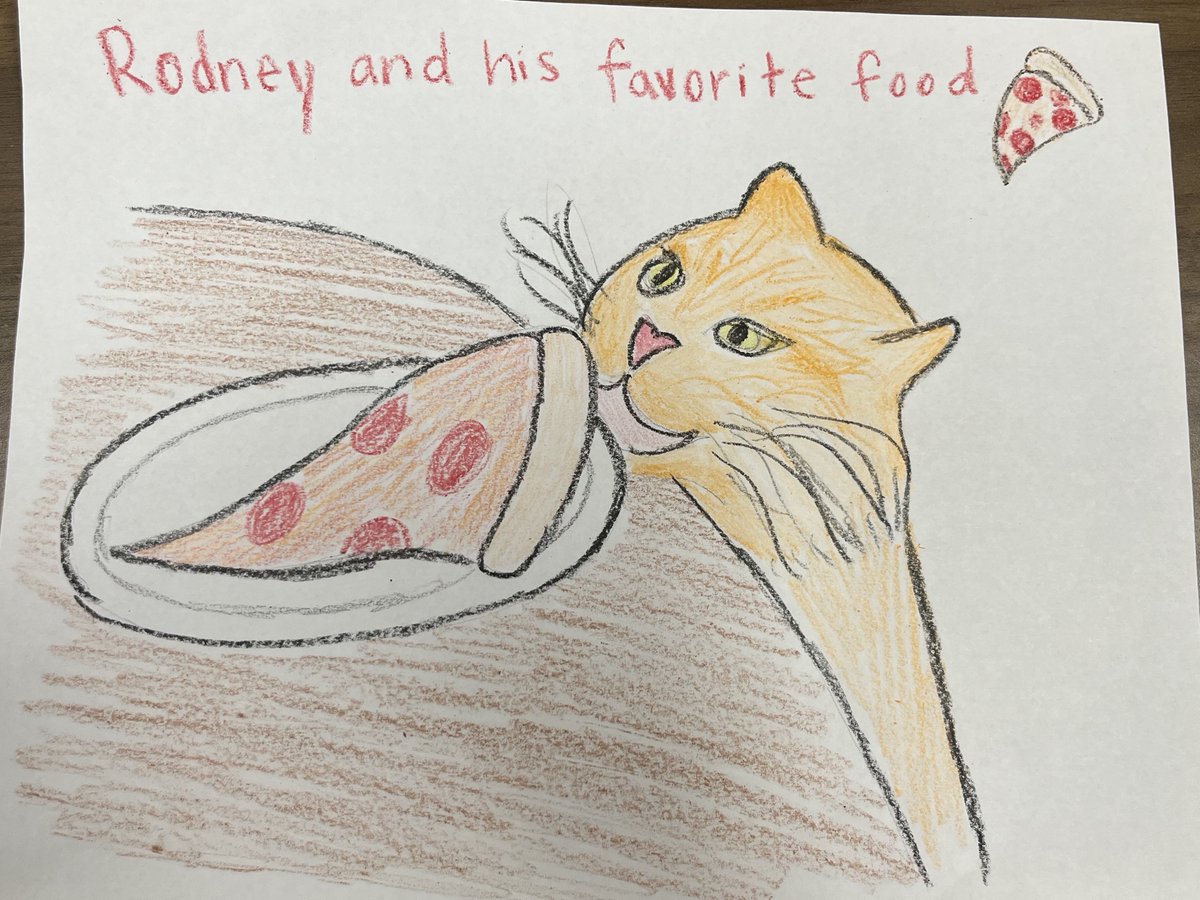 NEHumaneSociety's tweet photo. 🍕🐈 https://t.co/NNRCV6Ppg6