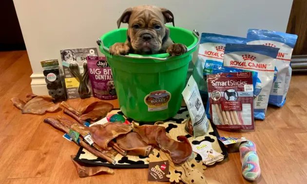This award-winning West Kootenay pet store is barking up the right tree! | Kootenay Business #castlegar #terrace #petstore #westkootenay buff.ly/40YFcfT