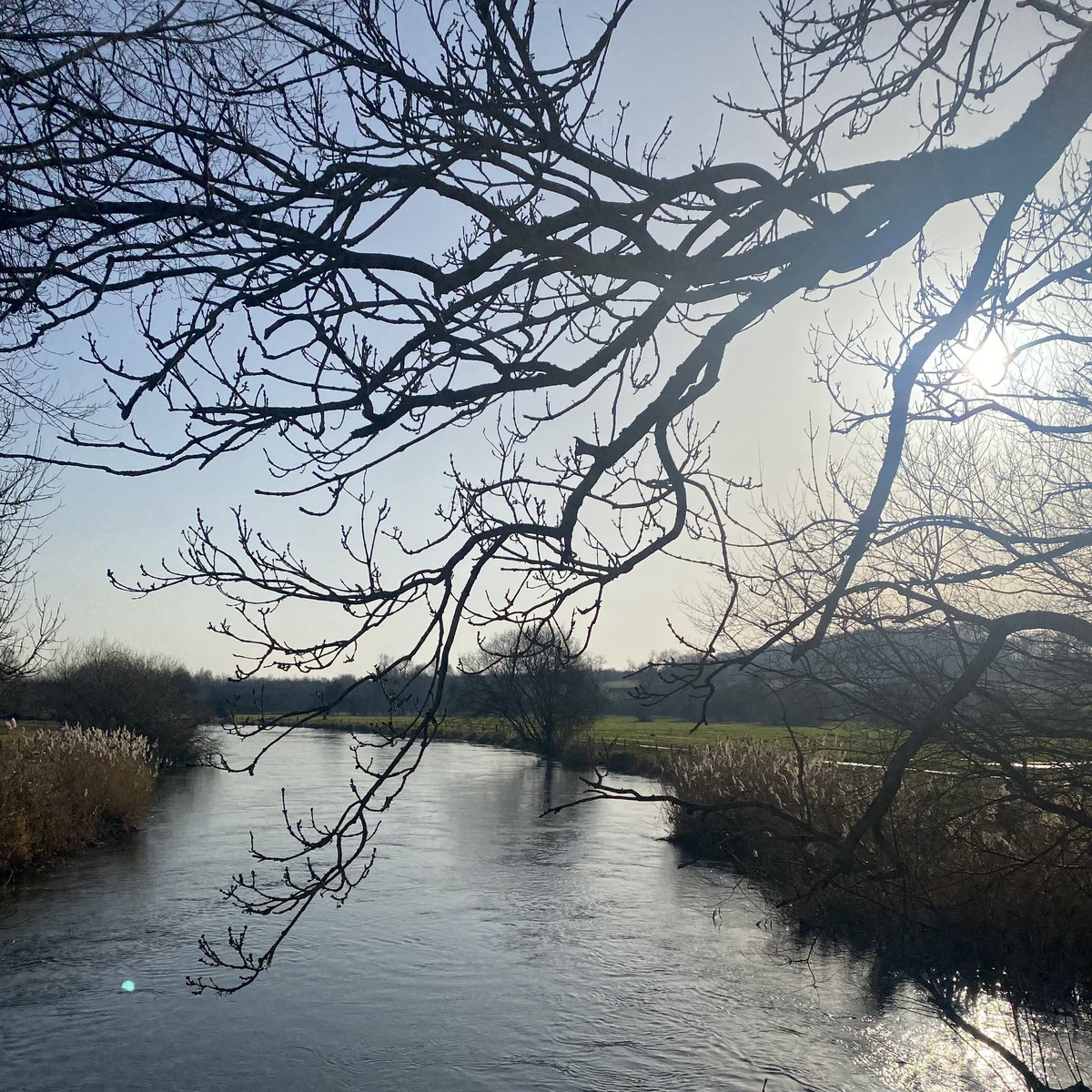 On a beautiful walk in the South Downs today, we realised that we are half way through our first year on the Educational Psychology doctorate! 🤍 Feeling super grateful and excited for what’s next! ☺️ #TwitterEPs #DEdPsych