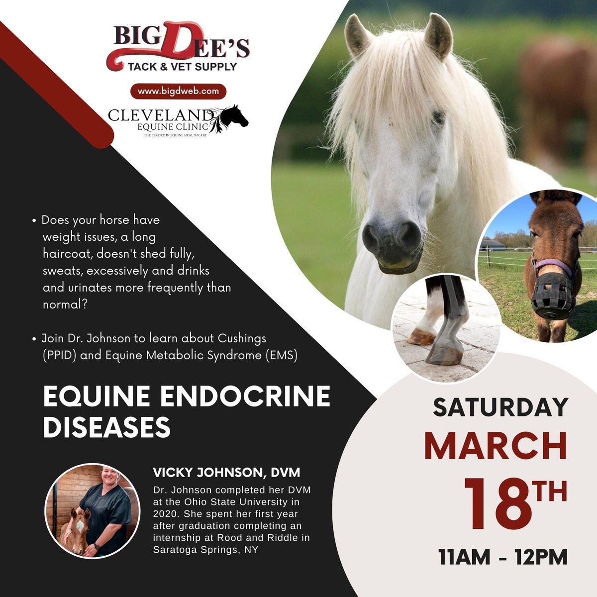 Mark your calendars for our next Seminar Series with Dr. Vicky Johnson from Cleveland Equine Clinic LLC!