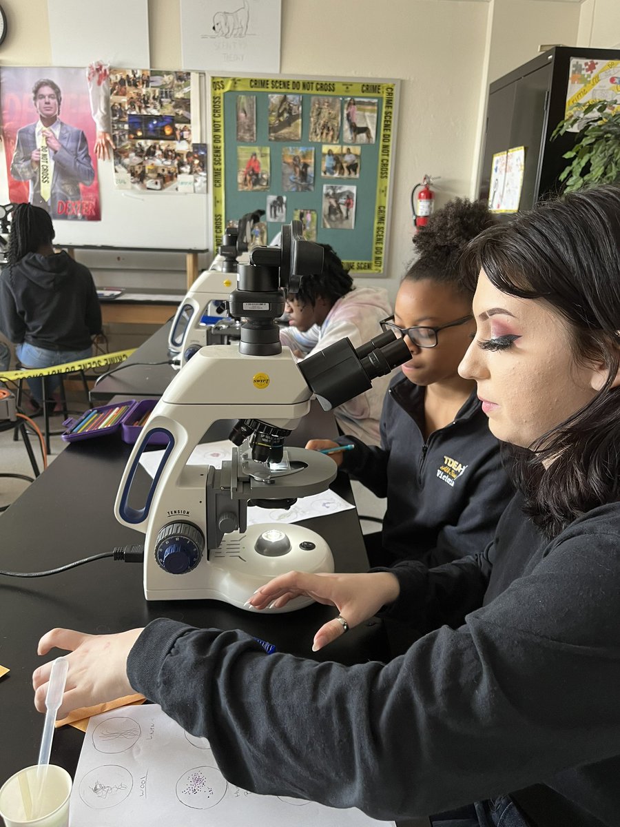 irvinghighCSI's tweet photo. Who did it? Analyzing evidence to solve a crime. @IrvingISD @IrvingHigh @iisdCTE @irvinghighCSI https://t.co/diPN8l9JIX