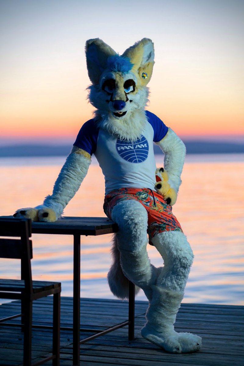 T i x i e f o x tweet media