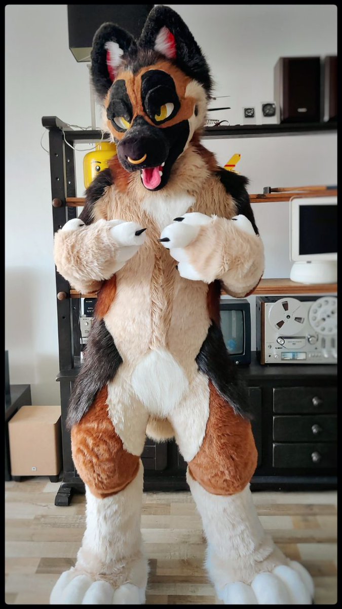 T i x i e f o x tweet media