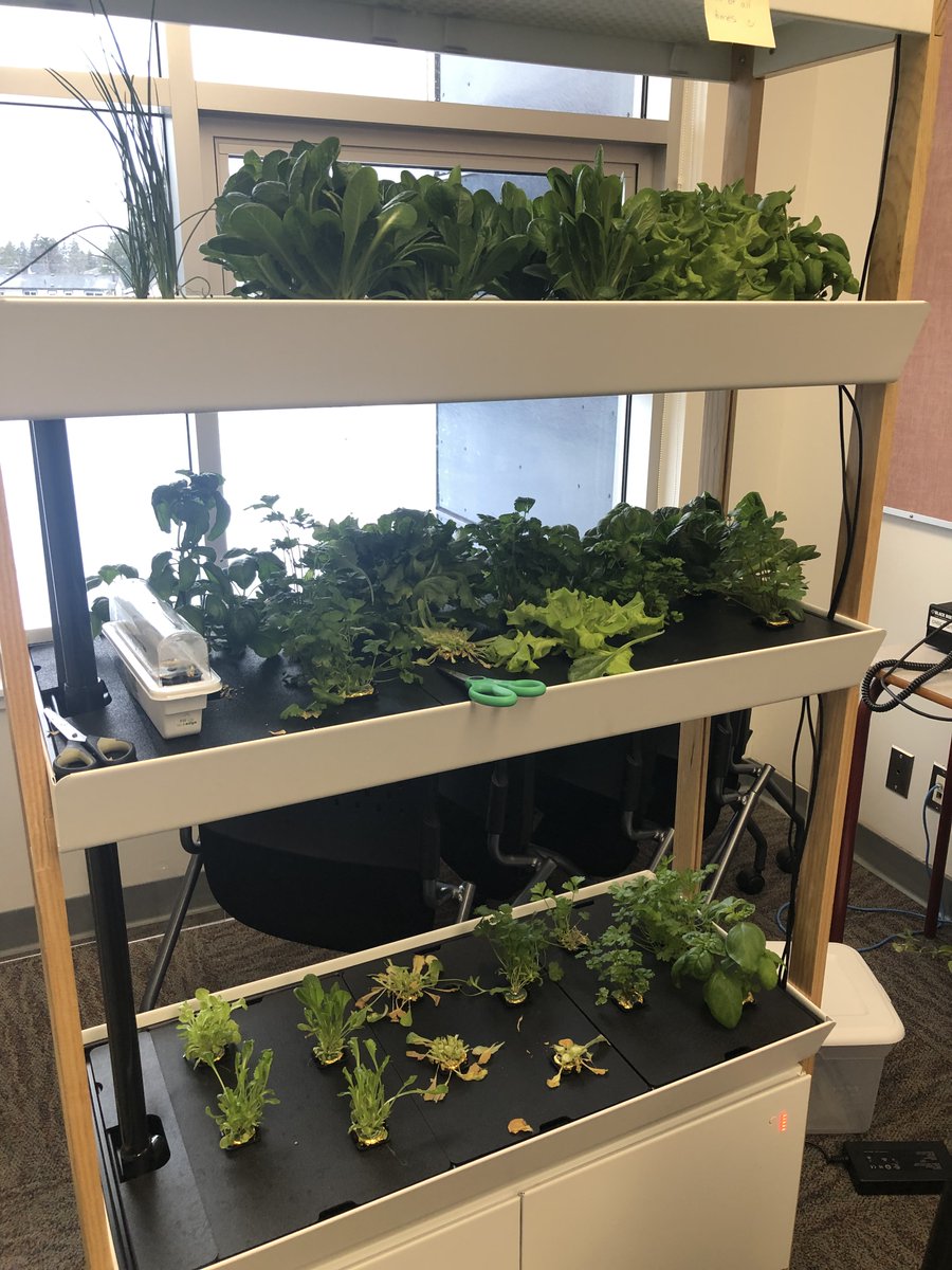 Charles Hays Sec tweet media