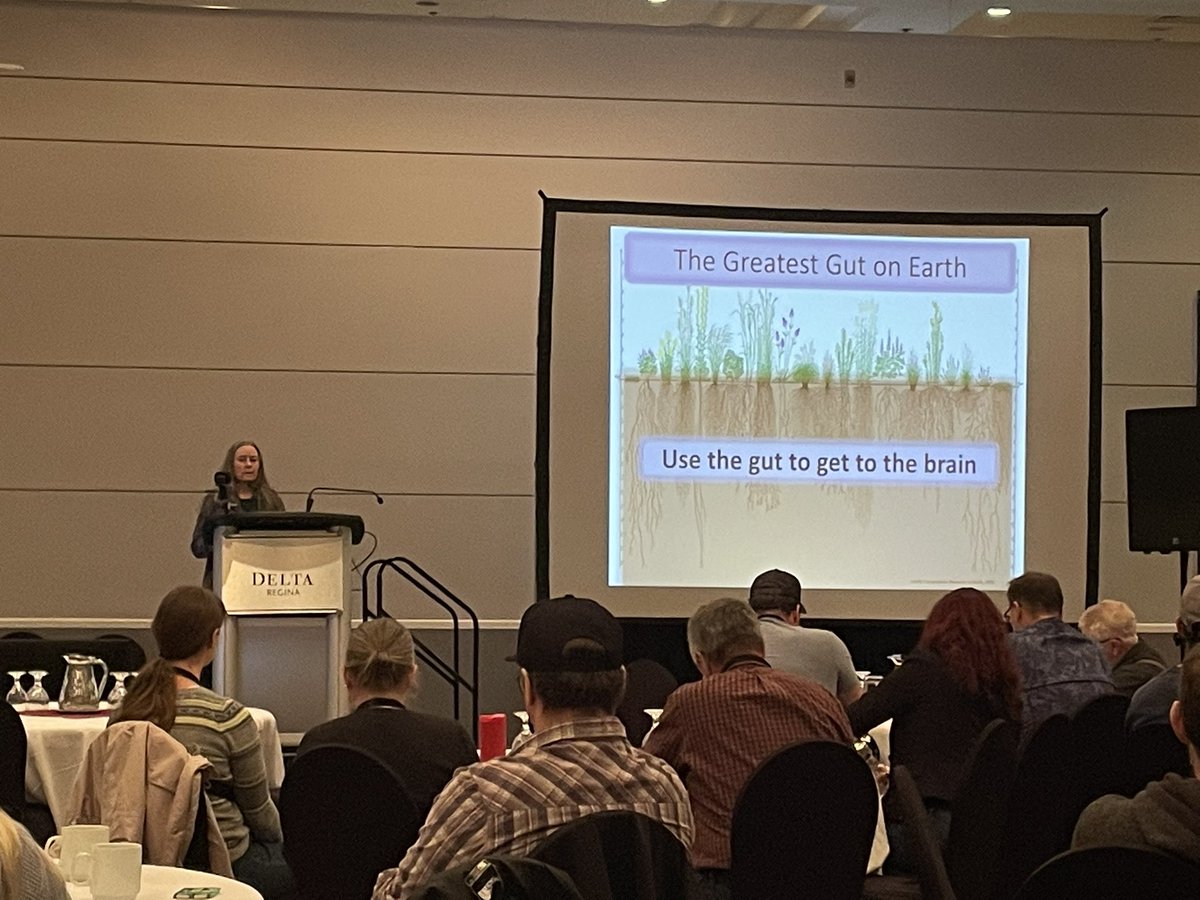 Avery Shepherd tweet media