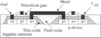 MAJID (Prime) on Twitter: