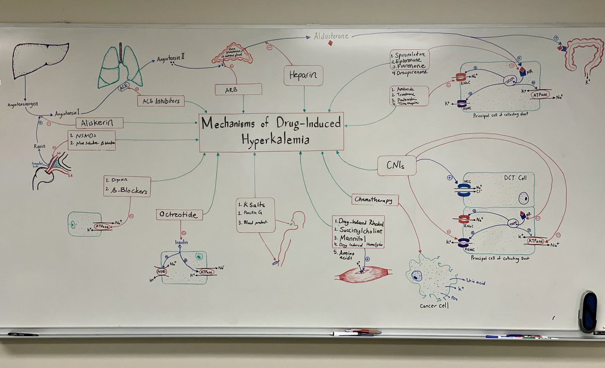 Our team @OchsnerNephro filled the puzzle for drug-induced Hyperkalemia