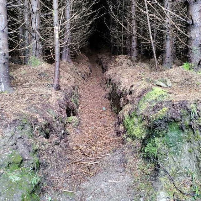 Eoghan Daltun 🌍 tweet media