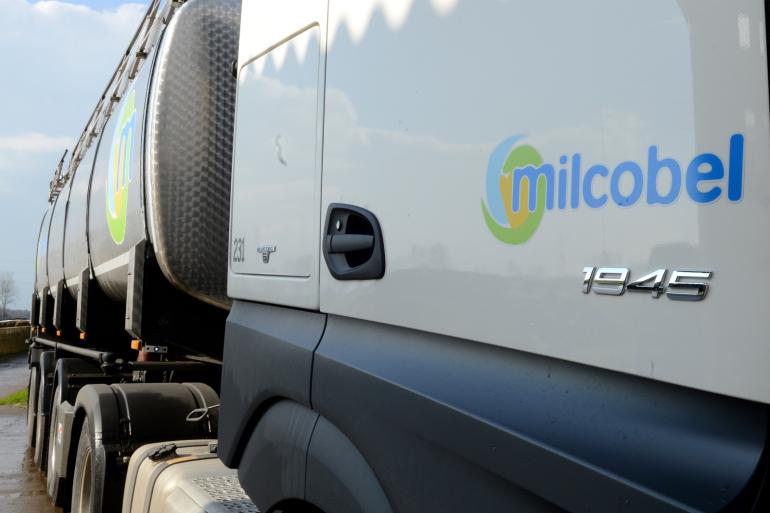 De melkprijs van de Vlaamse zuivelverwerker maakt een forse duikeling en zit nu zelfs onder de 50 cent per liter.
bit.ly/3Xze2cA