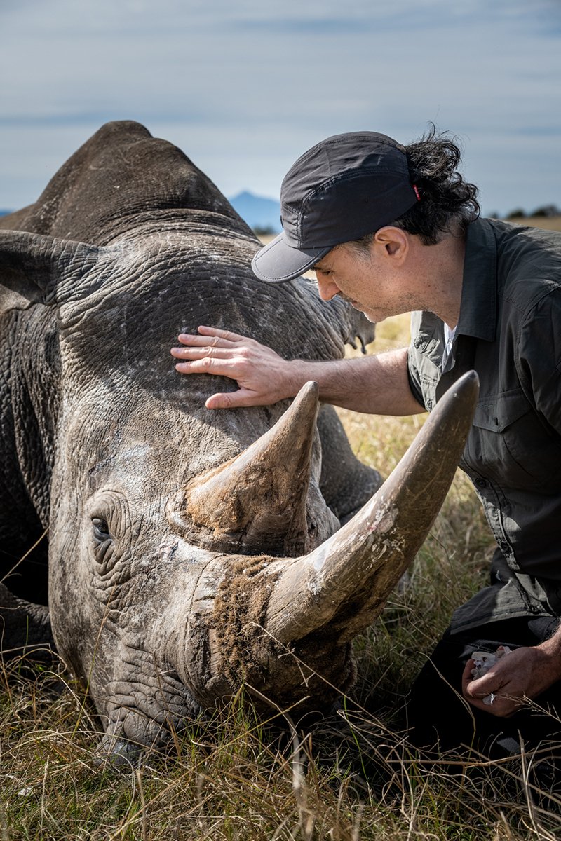 ProfNoelFitz's tweet photo. It’s devastating that humans are killing these beautiful animals. The Rhino is one of the most endangered species on the planet. The battles the people I met are facing every day conserving endangered species are immense. 

The Supervet Safari Special is on @Channel4 9pm 23 Feb x https://t.co/pm9qTjGhVC