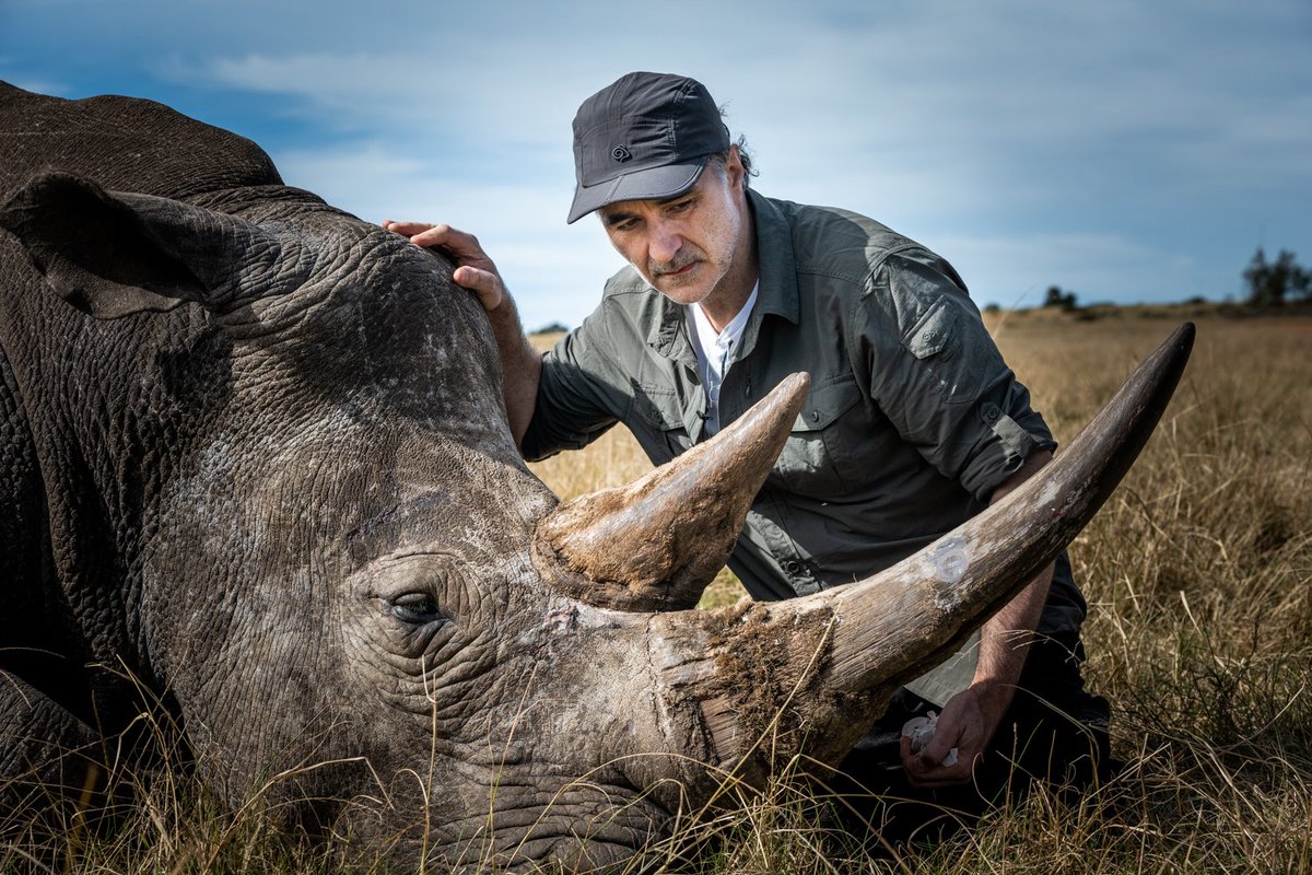 It’s devastating that humans are killing these beautiful animals. The Rhino is one of the most endangered species on the planet. The battles the people I met are facing every day conserving endangered species are immense. The Supervet Safari Special is on @Channel4 9pm 23 Feb x