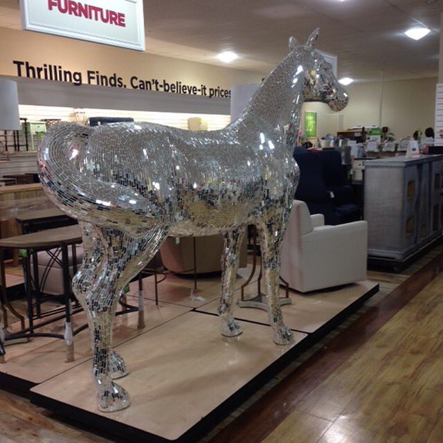 __Onixivy_'s tweet photo. now why is reneigh at my local home goods? https://t.co/AgtQKhD5zZ