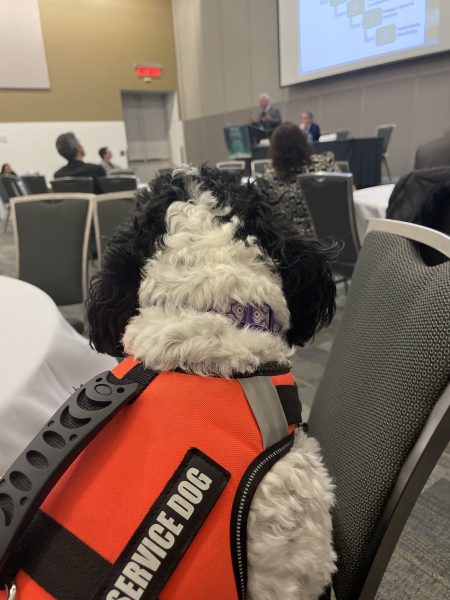 Georgina and I had great fun at AFOA teaching Administering Estates on and off Reserve. Thank you AFOA for another great conference.
