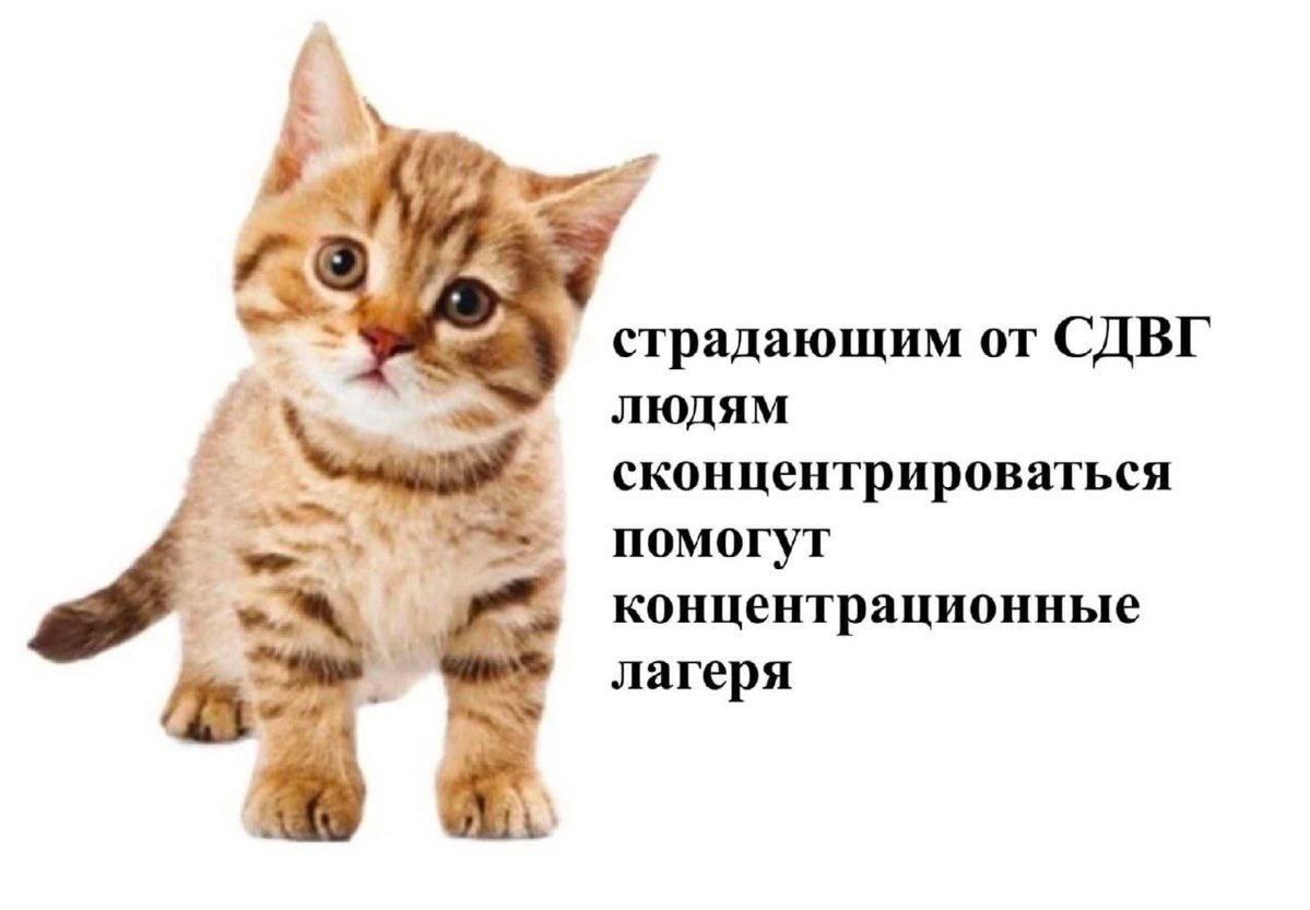 doctocalculator's tweet photo. Например https://t.co/QuaRBeYY7S
