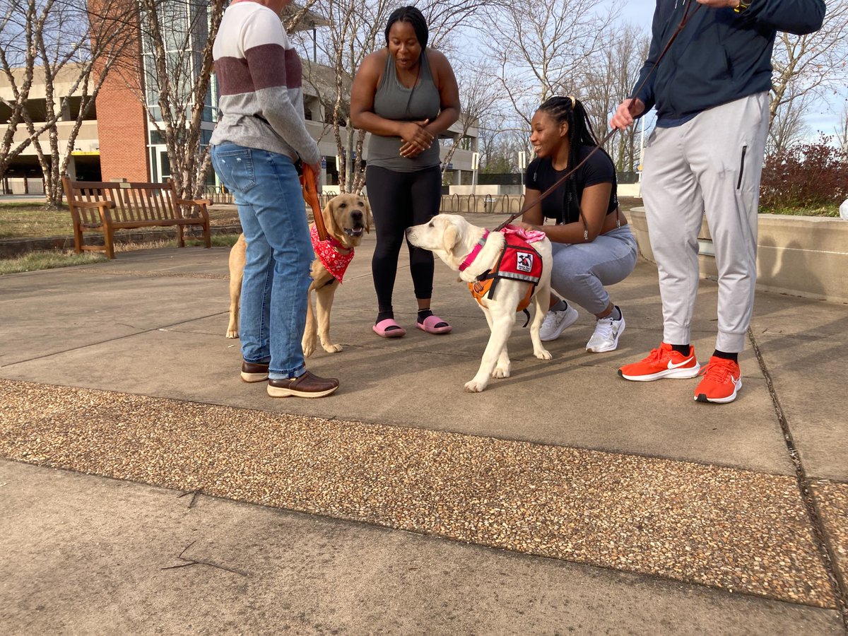 UvaChamp's tweet photo. Brought some friends to see my Virginia Athletics family!

#GoHoos | @servicedogsva https://t.co/x2ITA5KlSC