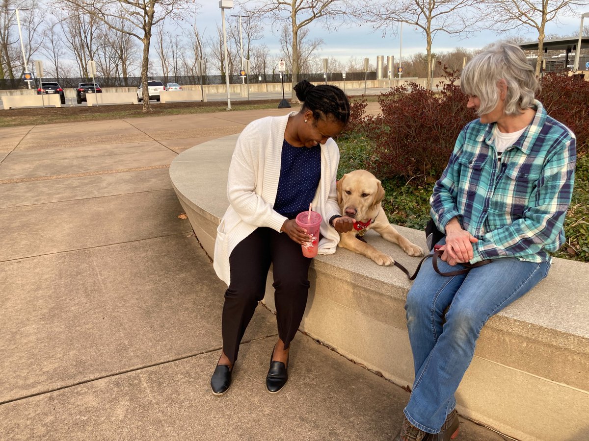 UvaChamp's tweet photo. Brought some friends to see my Virginia Athletics family!

#GoHoos | @servicedogsva https://t.co/x2ITA5KlSC