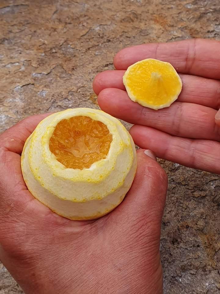 Juan José Ramos M. tweet media