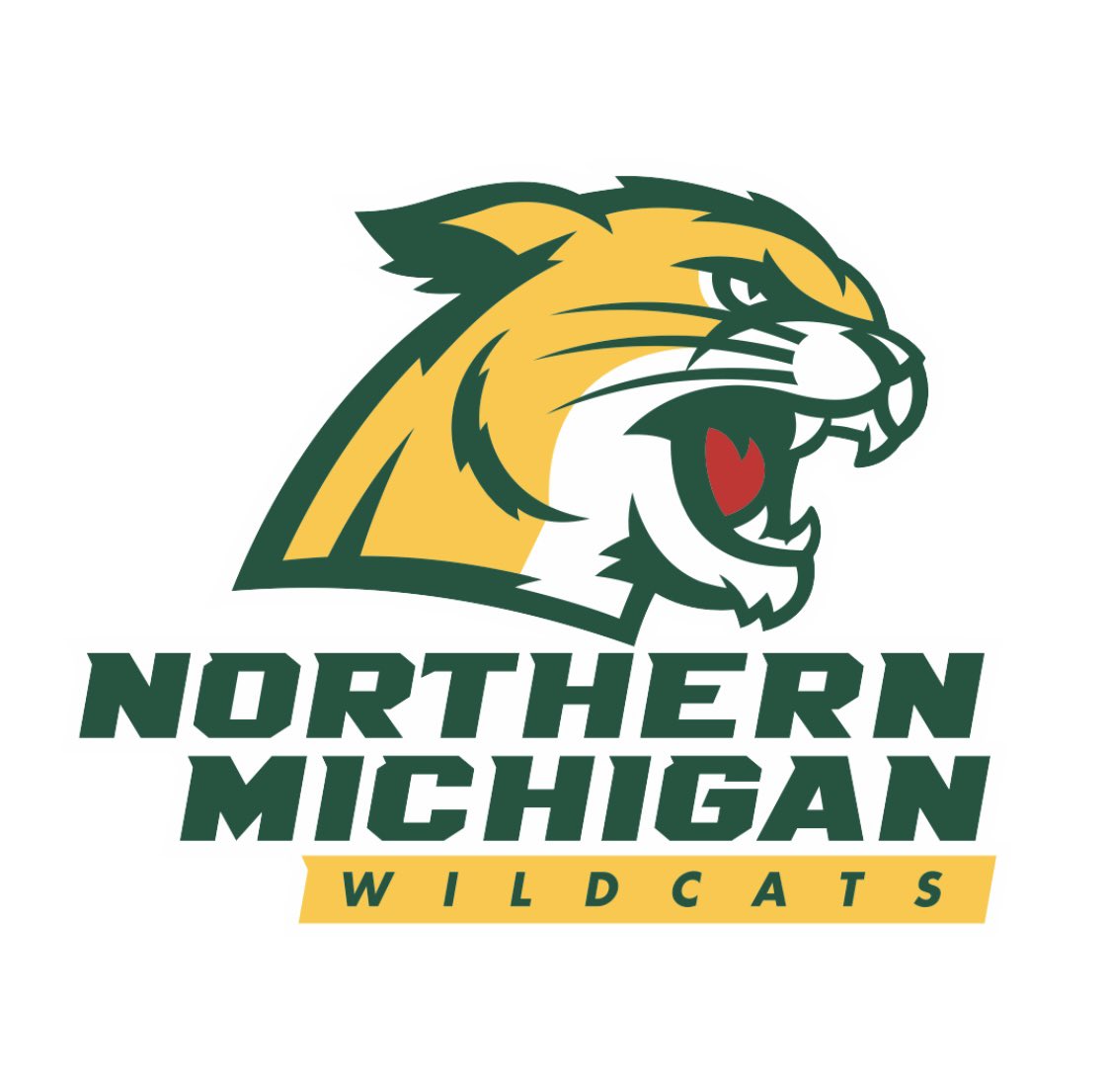 I am proud to announce my commitment to play Division 1 hockey at Northern Michigan University. I’d like to thank my friends, family, teammates, and coaches who have helped me along the way. #gowildcats
