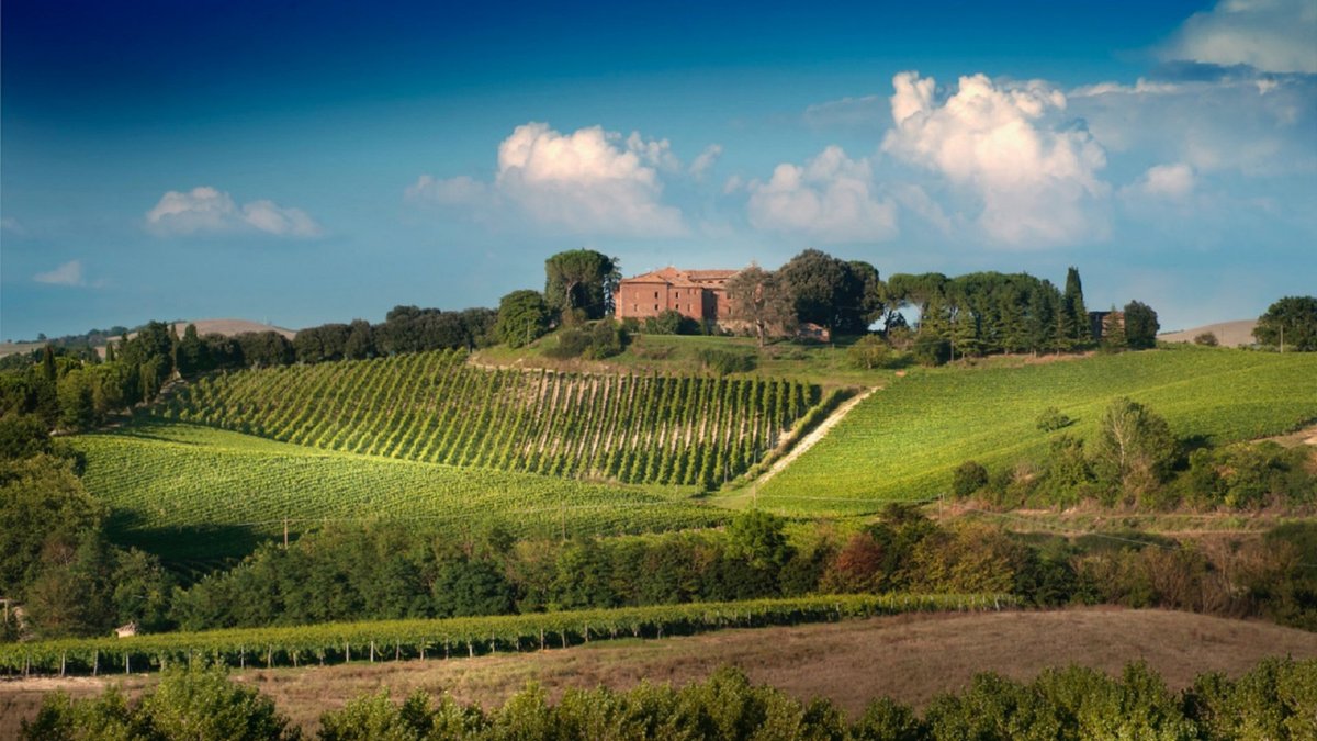 VisitTuscany's tweet photo. Guided tour of vineyards and winery with tasting of the famous Brunello di #Montalcino ⬇️
https://t.co/m5BLWKfeai https://t.co/yYwbCAKuhc