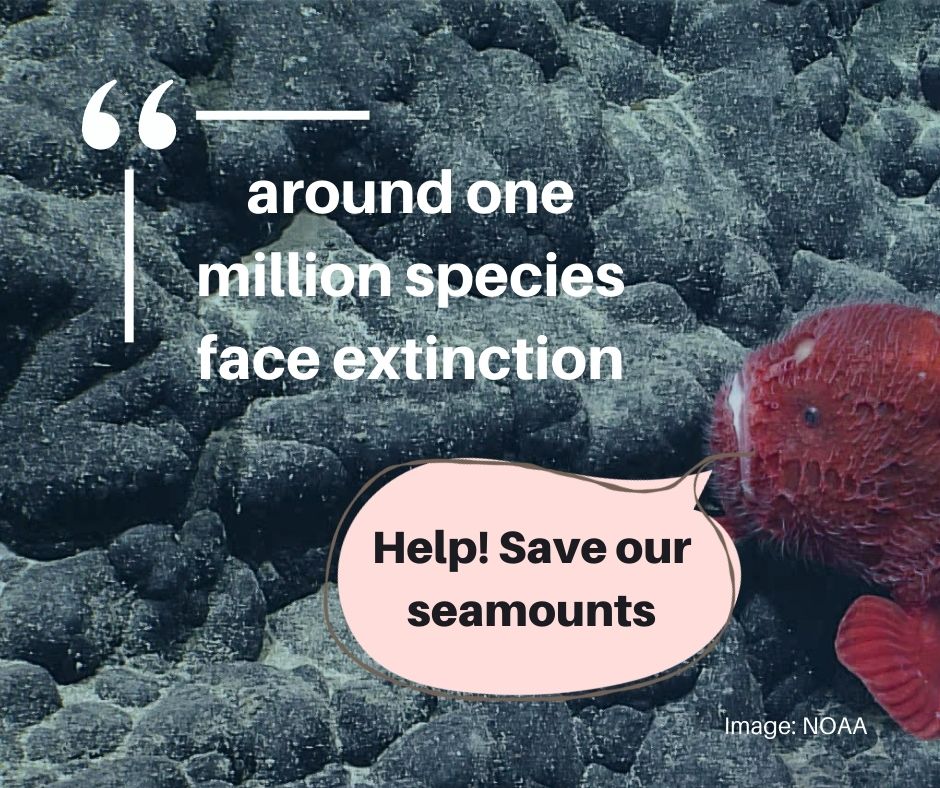 Around one million species face extinction unless action is taken to reduce biodiversity loss. We need <a href="/Stuart_NashMP/">Stuart Nash</a> and <a href="/sprfmo/">SPRFMO</a> to close seamounts to bottom trawling so we can protect the precious biodiversity of the Pacific Ocean. #SaveOurSeamounts #DSCCAotearoa