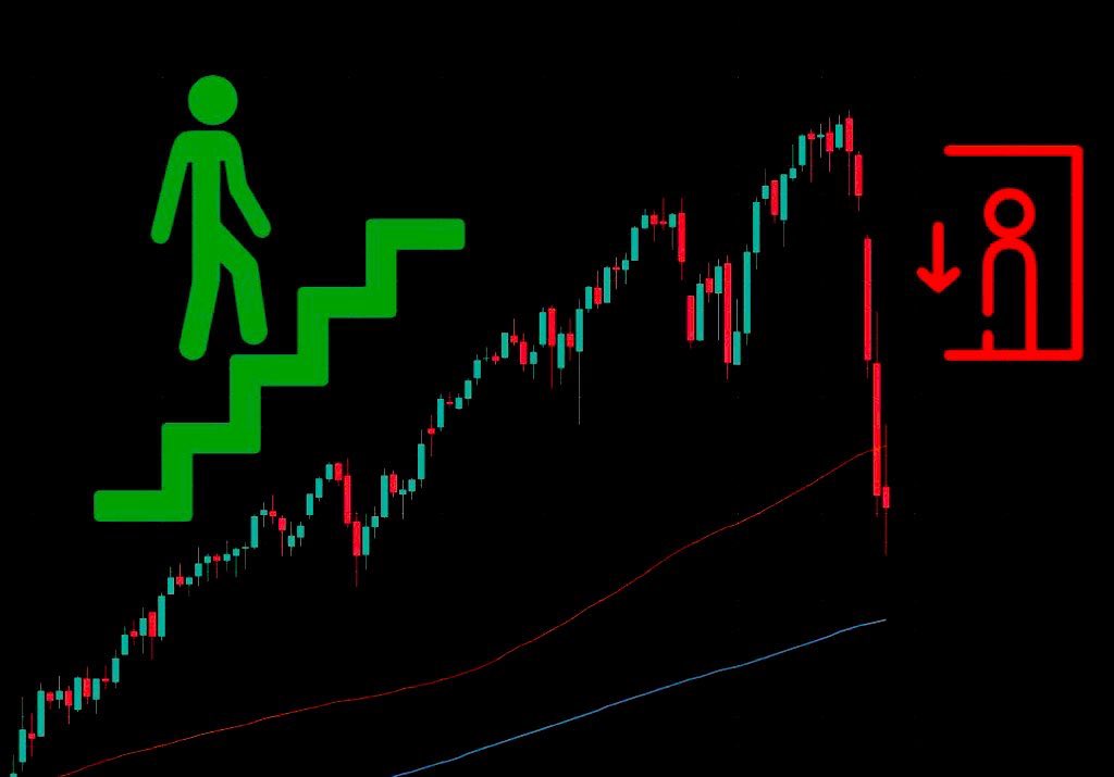 Ninja tweet media