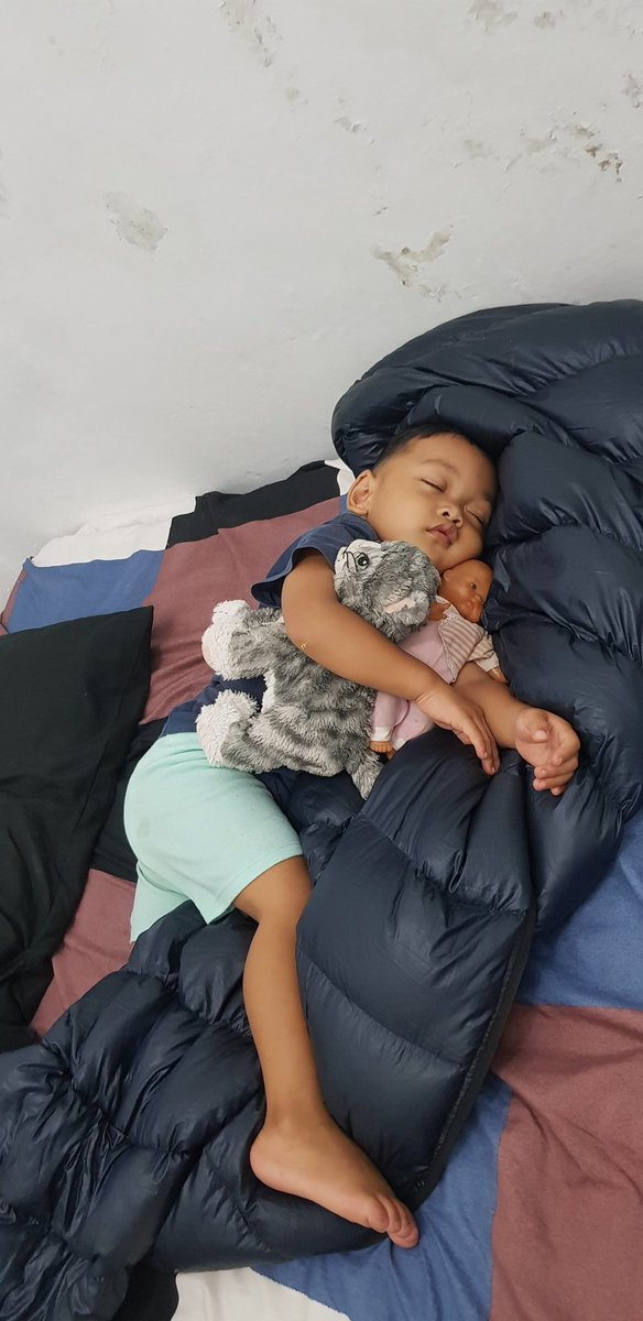 findbima's tweet image. 