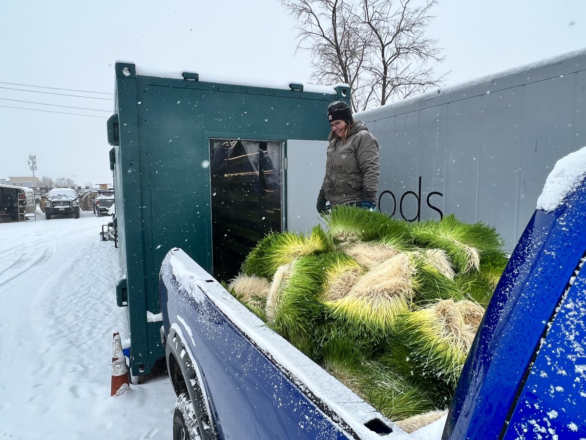 FarmBox_Foods's tweet photo. Everyday is harvesting day when you own one of our containerized Hydroponic Fodder Farms. Today’s load is going to an alpaca ranch just up the road.
#alpacas #snow #snowday #fodder #hydroponics #wethay #livestock #foodsecurity #animals #farmanimals #farmlife #agtech #farm https://t.co/M61Hor6EZk