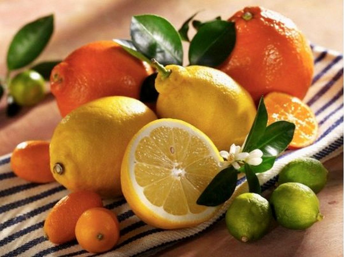 plitkar's tweet image. Богатый источник витамина С: диетолог дает советы по употреблению цитрусовых - plitkar.com.ua/bogatyi-istoch…
#Здоровоепитание #правильноепитание #фрукты #цитрусовые #Здоровье