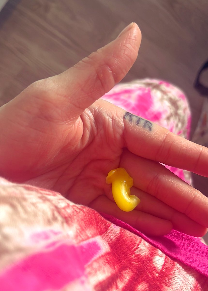 angiolytic's tweet photo. Plant and garden people! What's the deal when you cut open a bell pepper and there's a baby growing inside? I just eat these little bbs... left growing, would they mature into full grown peppers? https://t.co/Gjav09QgMu