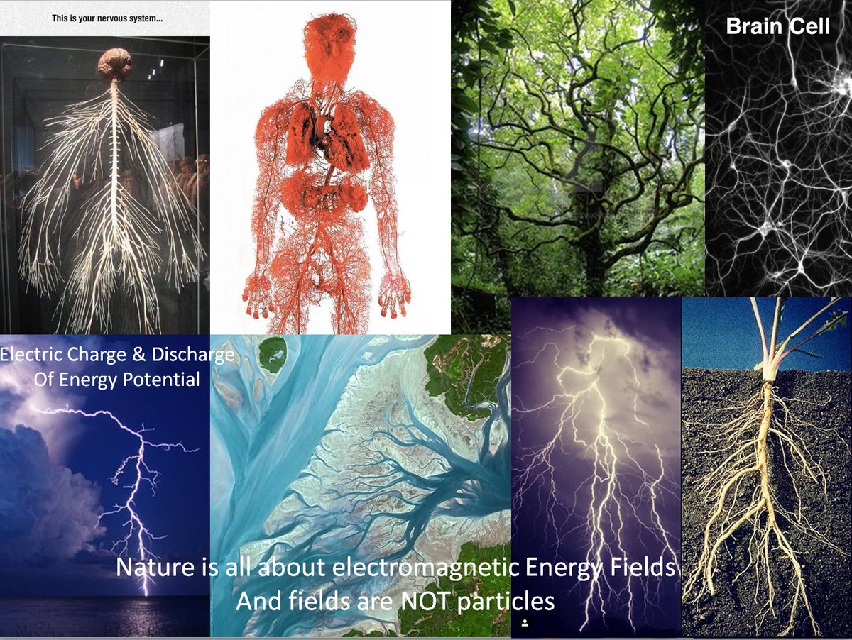 mexevbg369's tweet image. Nature is all about electric point-potential undergoing charge &amp;amp; discharge, polarizing into a toroidal energy unit, manifested as di-polar magnetic force fields.

#Nature #PointInfinity #ZeroPoint #Electromagnetic #EnergyFields #VibrationInterferenceGeometry #Cymatics