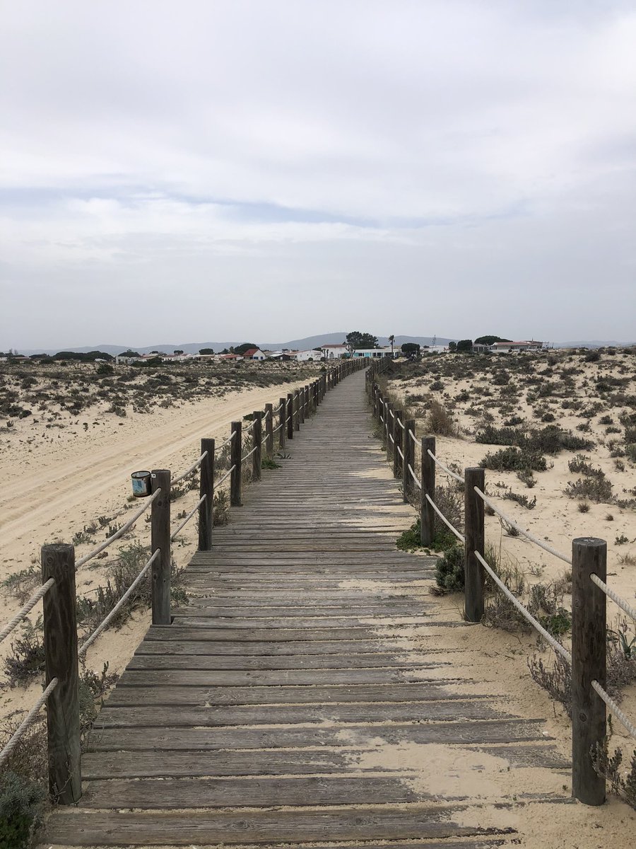 Anna-Marie Watson tweet media