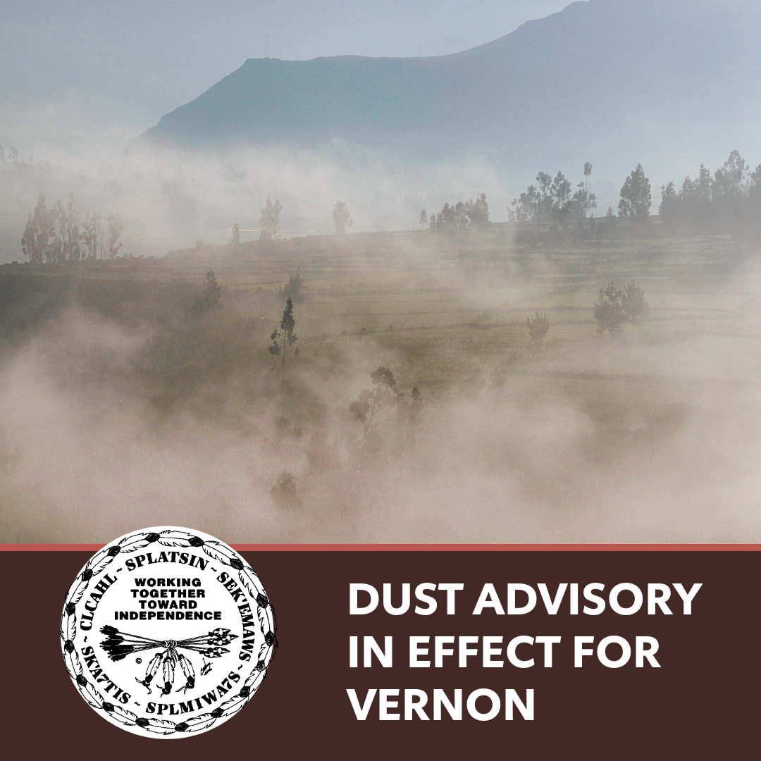 Splatsinfn's tweet image. The Ministry of Environment &amp;amp; Climate Change Strategy has issued a Dust Advisory for Vernon because of high concentrations of coarse particulate matter.

Learn more: splatsin.ca/dust-advisory-…

#dustadvisory #vernonbc #splatsin