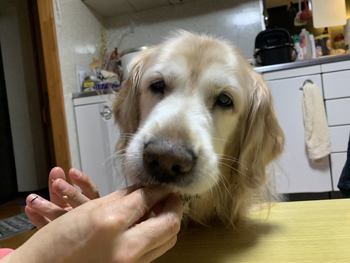_a_a003's tweet photo. 可愛すぎ無理心臓痛い会いたい https://t.co/Q7vFwS3sSB