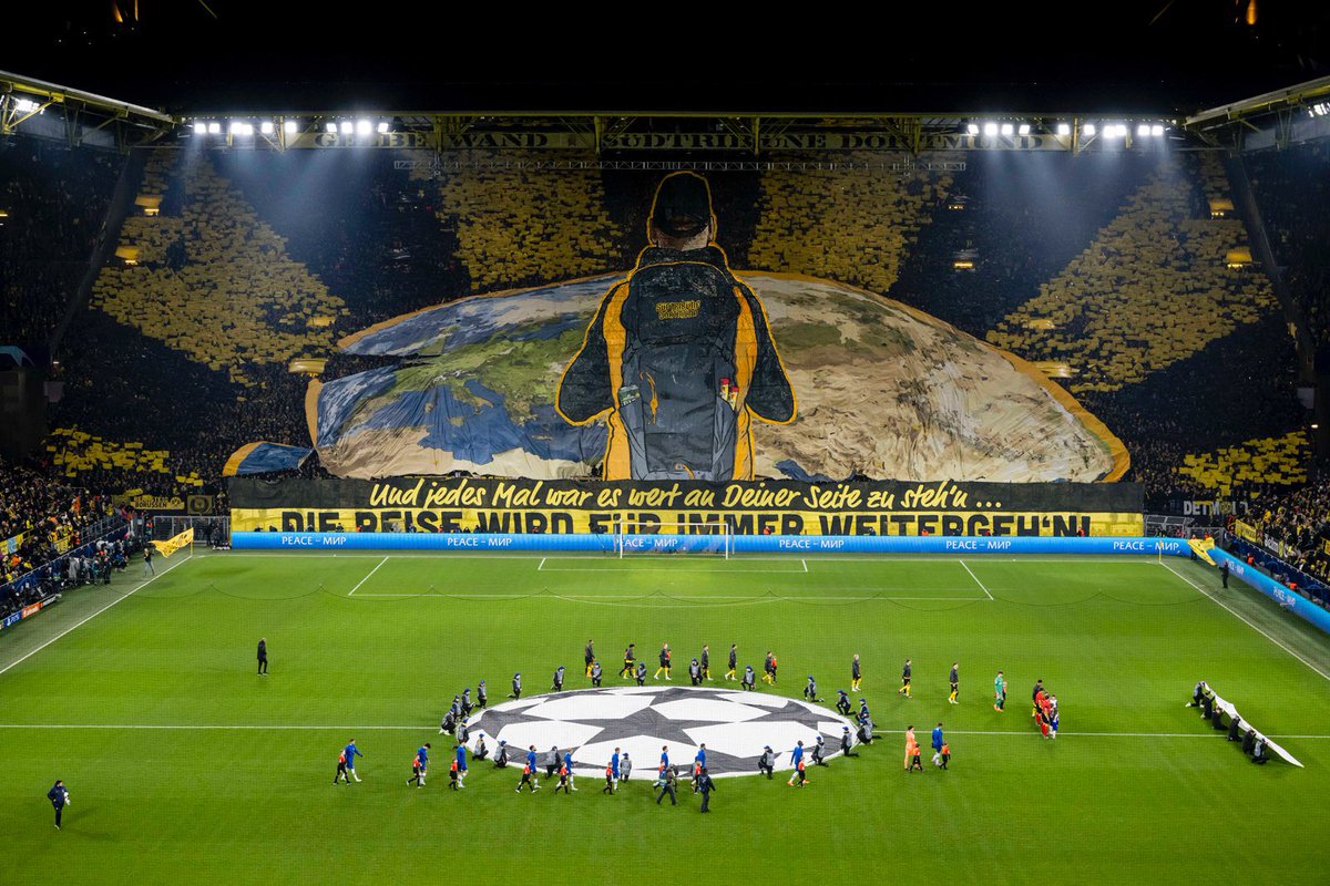 The Best Fans 💛