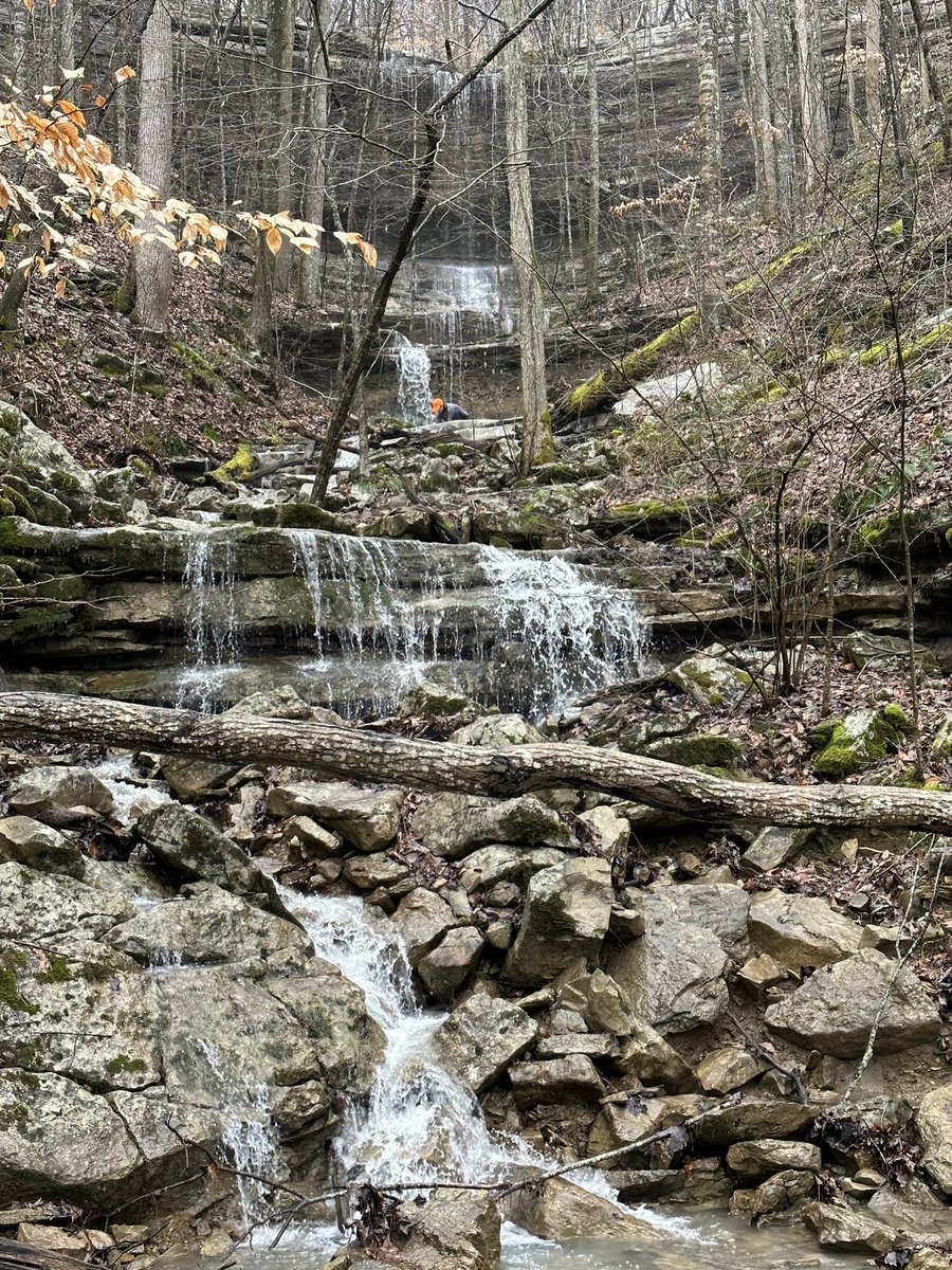 Watershed Delaneyation (@thats_me_del_p) on Twitter photo it’s been a long three weeks, but another #AIMS seasonal synoptic is in the books! 21 salt slugs, 139 sensors downloaded, and who knows how many microbial and bgc samples! tons of fun time in the woods w/ <a href="/kacizarek/">Kaci</a> <a href="/michwolford/">Michelle Wolford</a> <a href="/crsmith7348/">Chelsea Smith</a> & #noTwitterLidiaLarissaFelipeandMary it’s been a long three weeks, but another #AIMS seasonal synoptic is in the books! 21 salt slugs, 139 sensors downloaded, and who knows how many microbial and bgc samples! tons of fun time in the woods w/ <a href="/kacizarek/">Kaci</a> <a href="/michwolford/">Michelle Wolford</a> <a href="/crsmith7348/">Chelsea Smith</a> & #noTwitterLidiaLarissaFelipeandMary