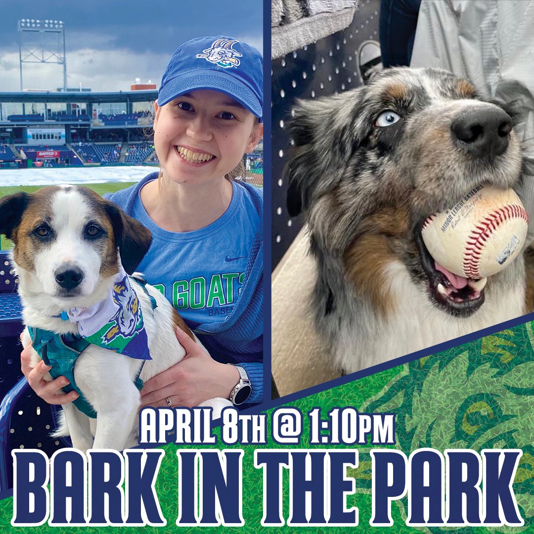 Hartford Yard Goats tweet media