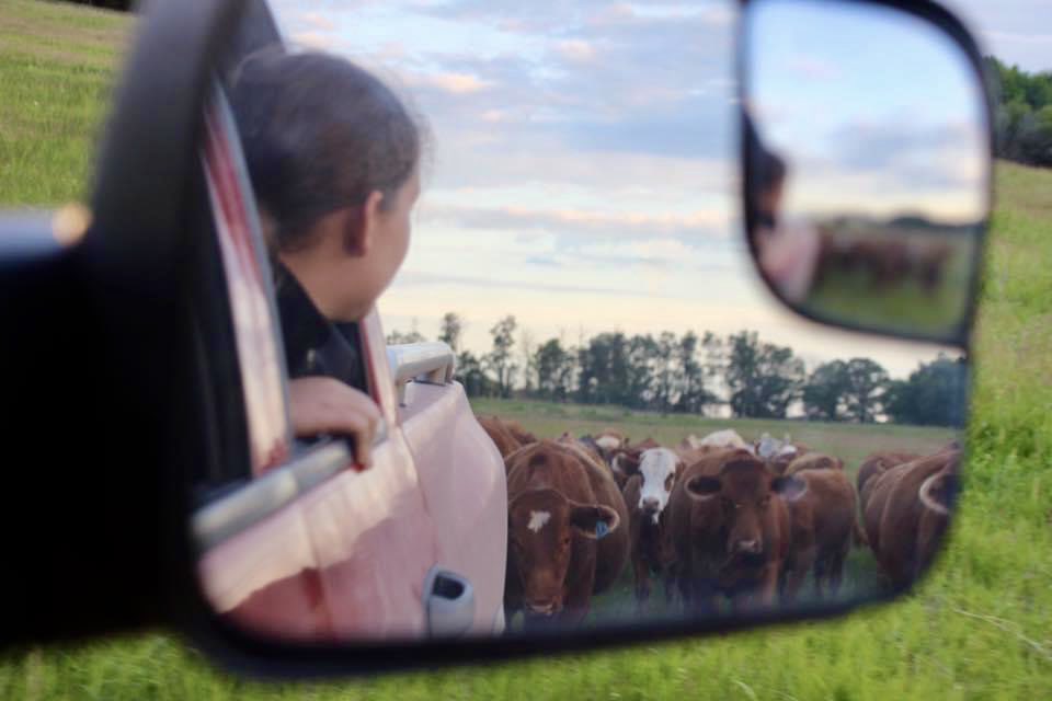 JosiePedersen9's tweet photo. #CdnAgDay Can’t wait to see what the future holds in this industry! https://t.co/I6Xpzlwfdh