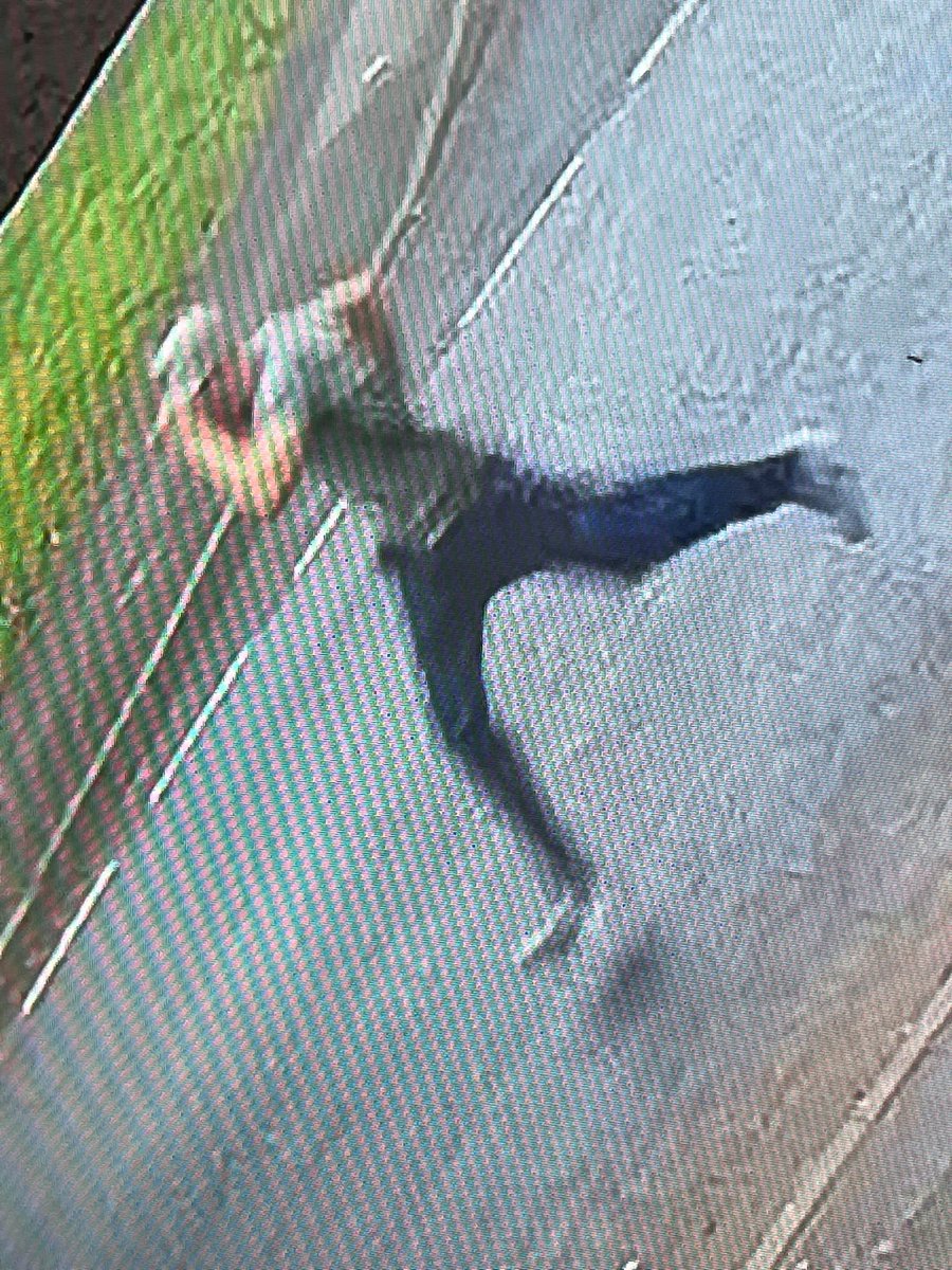 plumber_angry's tweet photo. This lad was caught on cctv smashing a Bricky’s van window. The Builder’s not even replaced tools from the last theft, Broad daylight in Birmingham Area #VanToolTheft #vanTheft help re-tweet until we get a name https://t.co/ALoofLeAD7