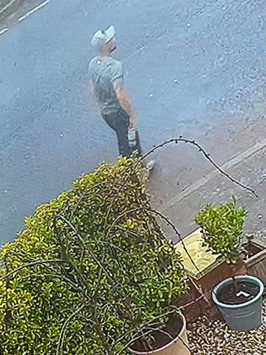 plumber_angry's tweet photo. This lad was caught on cctv smashing a Bricky’s van window. The Builder’s not even replaced tools from the last theft, Broad daylight in Birmingham Area #VanToolTheft #vanTheft help re-tweet until we get a name https://t.co/ALoofLeAD7