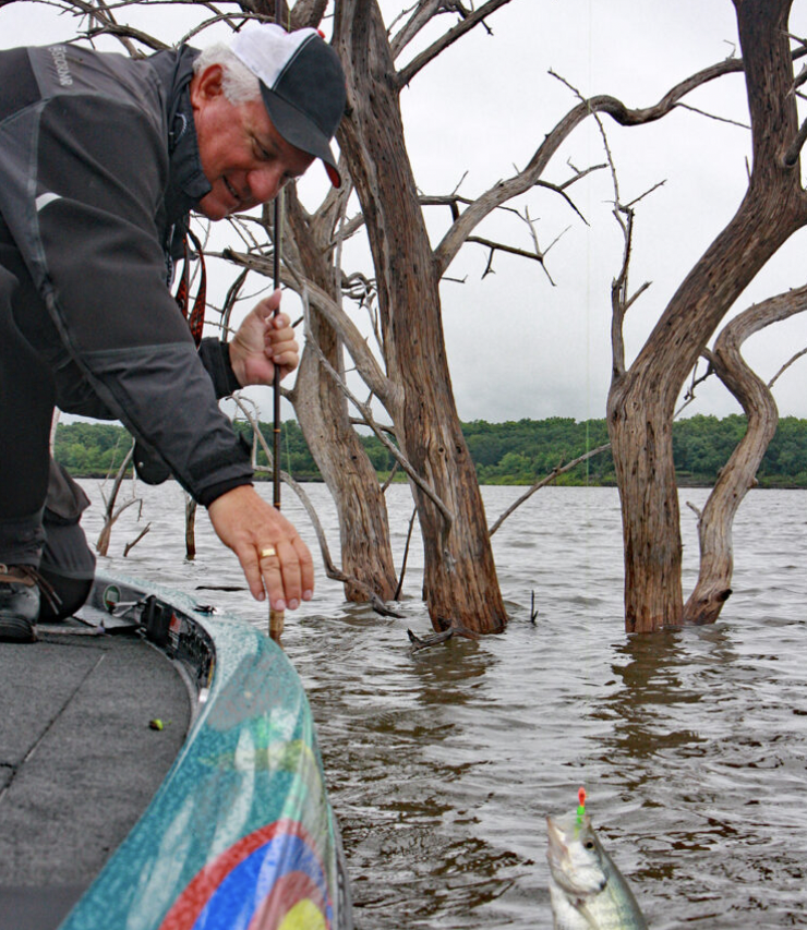 CrappieNow's tweet image. #Verticalstructure is a friend to the weekend angler looking for a place to fish. If structure is hard to come by in your fishery, get away from the crowds and look for #crappie along a shoreline or ledge. Check out more tips from our #CrappieNOW Archives: crappienow.com/MAG/2022/01/30…