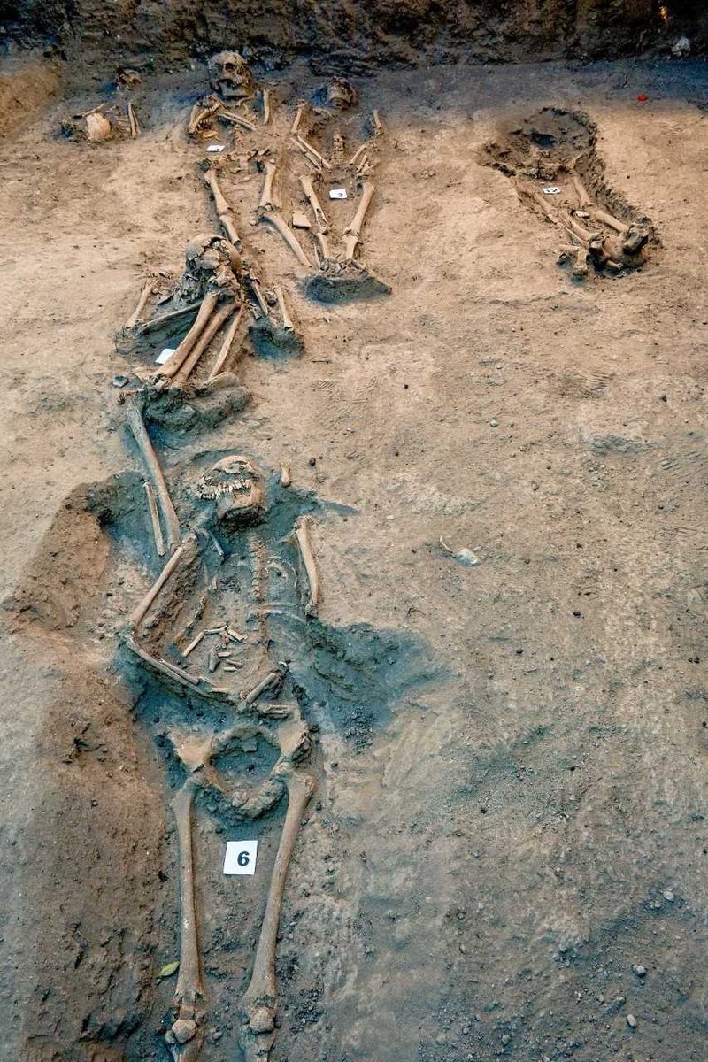AztecaNoticias's tweet photo. Encuentran en el Bosque de #Chapultepec de la #CDMX, un #cementerio del periodo virreinal temprano (1521-1620 d.C.), en el área del Jardín y el Pabellón Escénico.

En las tareas de salvamento arqueológico se han recuperado los restos óseos de 21 individuos: @INAHmx https://t.co/4S4U3hVK1q