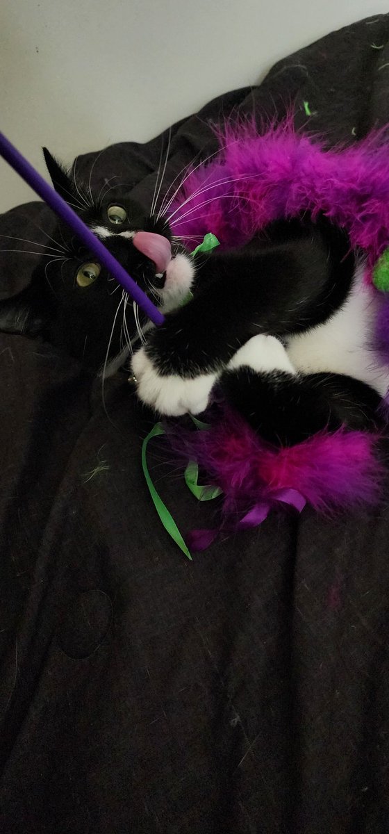 liminalterror's tweet image. #WizardWednesday! She's bloodthirsty :o)