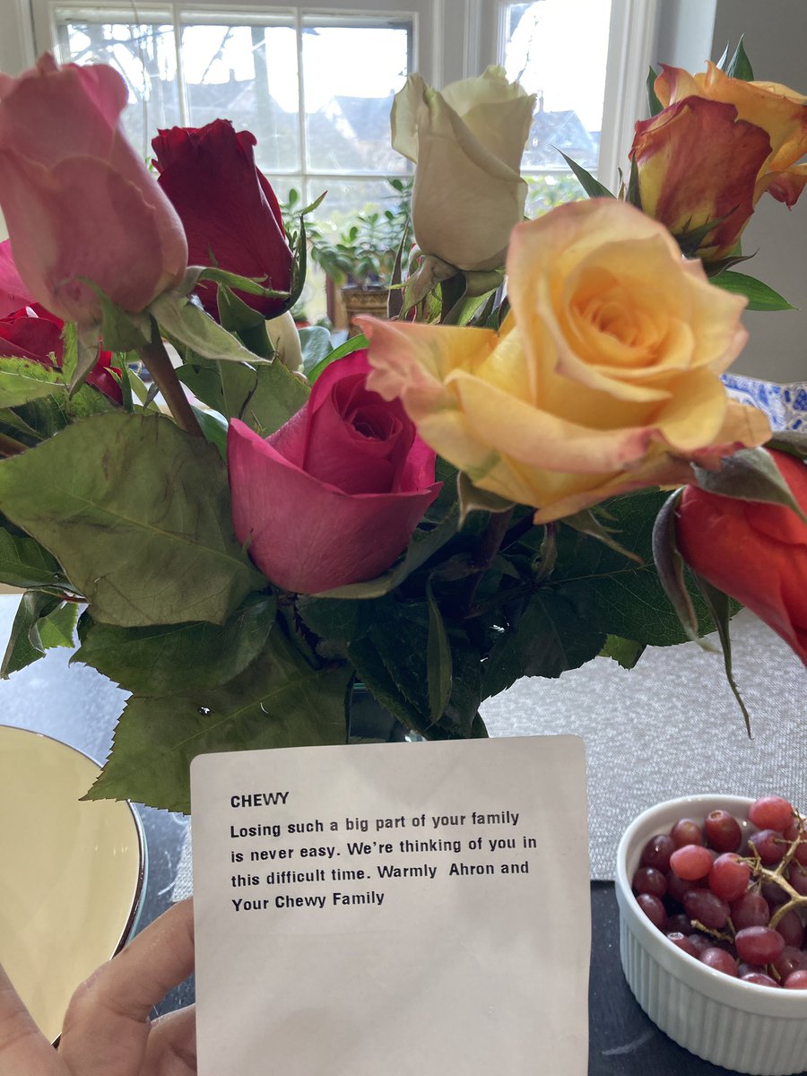 Rebecca_IL's tweet photo. Thank you @Chewy for your great service and care for Calicat. #customerexperience #petloss https://t.co/icLo6fudec