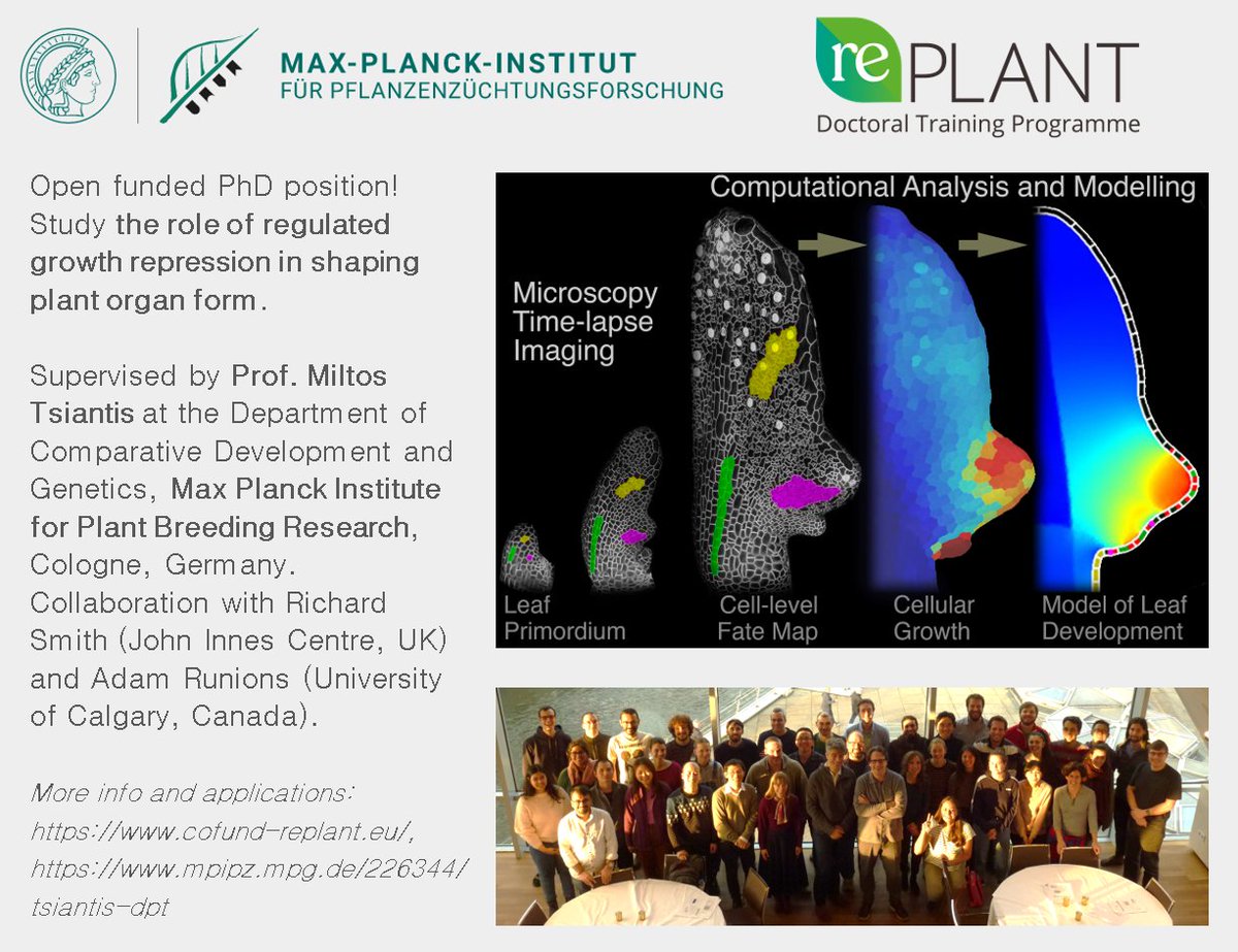 Great PhD opportunity in plant morphogenesis. Please RT!