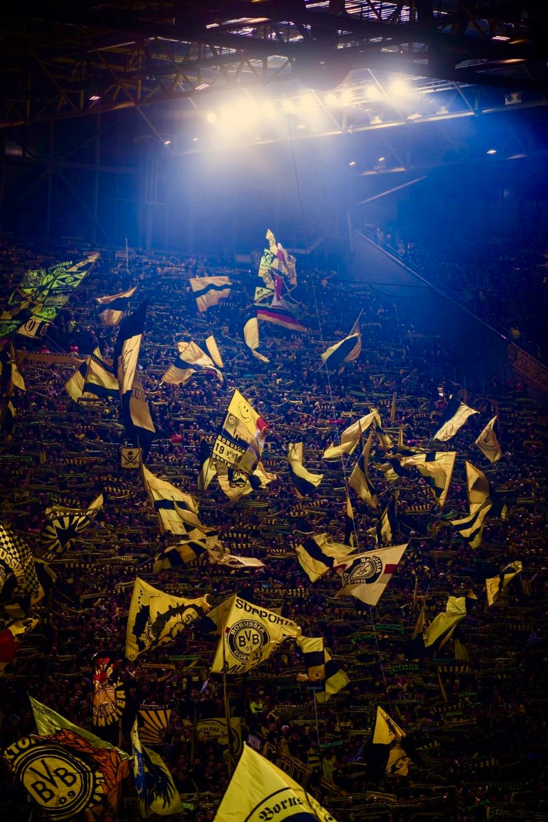OficialSala12's tweet photo. A melhor torcida da Europa. https://t.co/MrlGL9NKrn