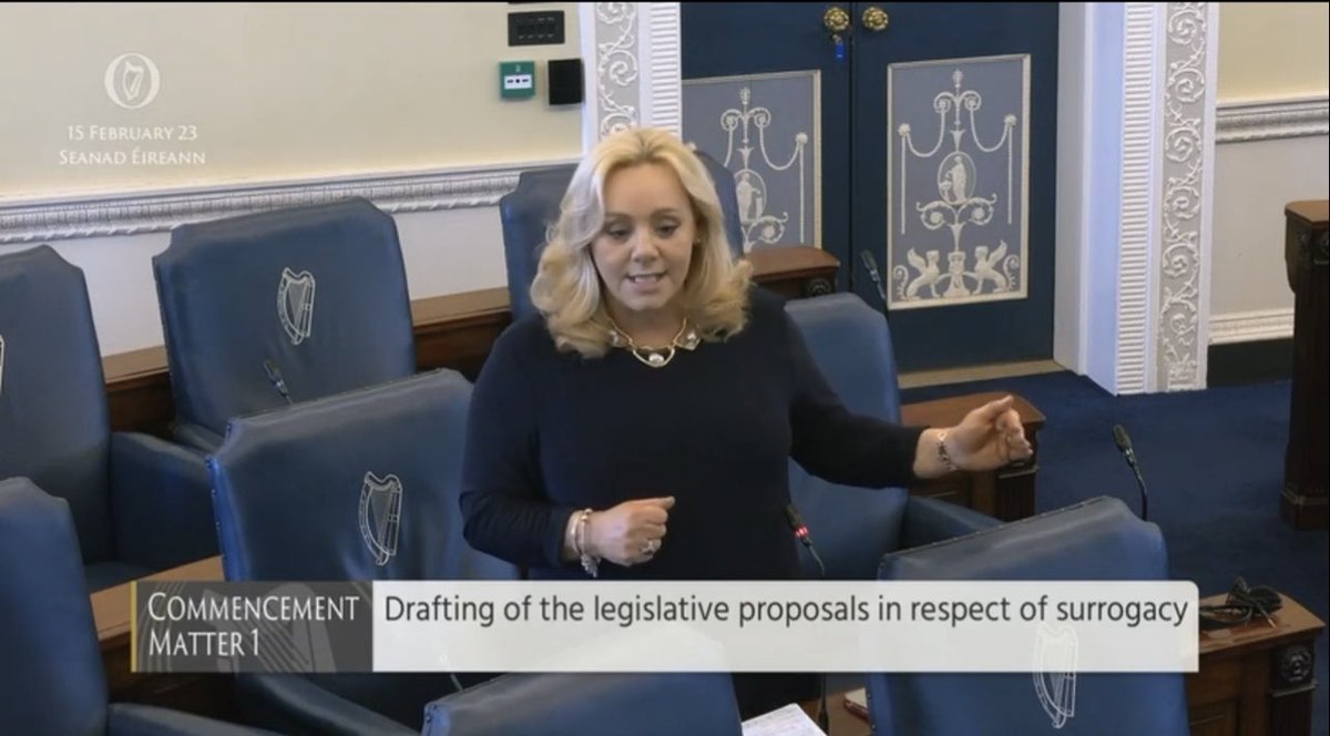 SeeryKearney's tweet photo. Busy day, breakfast meeting with Sam &amp; Odette Doran in Park West re apartment defects, commencement re delays in surrogacy legislation, spoke on Domestic Violence Bill that I’ve cosponsored, raised heritage on OOB &amp; interviewed on RTE, now out to help the leaflet dropping team https://t.co/Ht3FgwpJER