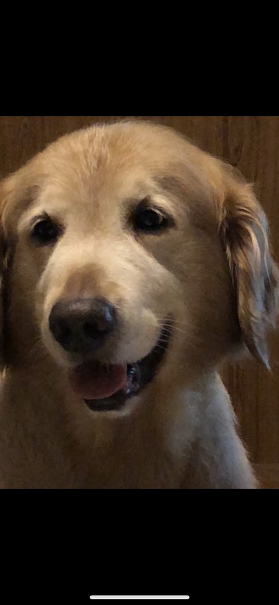 S.Toshihiro (@toshi9001) on Twitter photo 