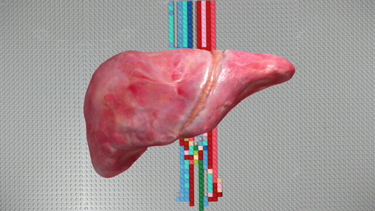 radiojes (@radiojes) on Twitter photo 8. And this <a href="/OHSUKnight/">OHSU Knight Cancer Institute</a> lab thinks this cell printing technique could lead to even bigger things...
Like being able to 3D print FUNCTIONAL ORGANS.
Wut? x ā¾
9/11 8. And this <a href="/OHSUKnight/">OHSU Knight Cancer Institute</a> lab thinks this cell printing technique could lead to even bigger things...
Like being able to 3D print FUNCTIONAL ORGANS.
Wut? x ā¾
9/11