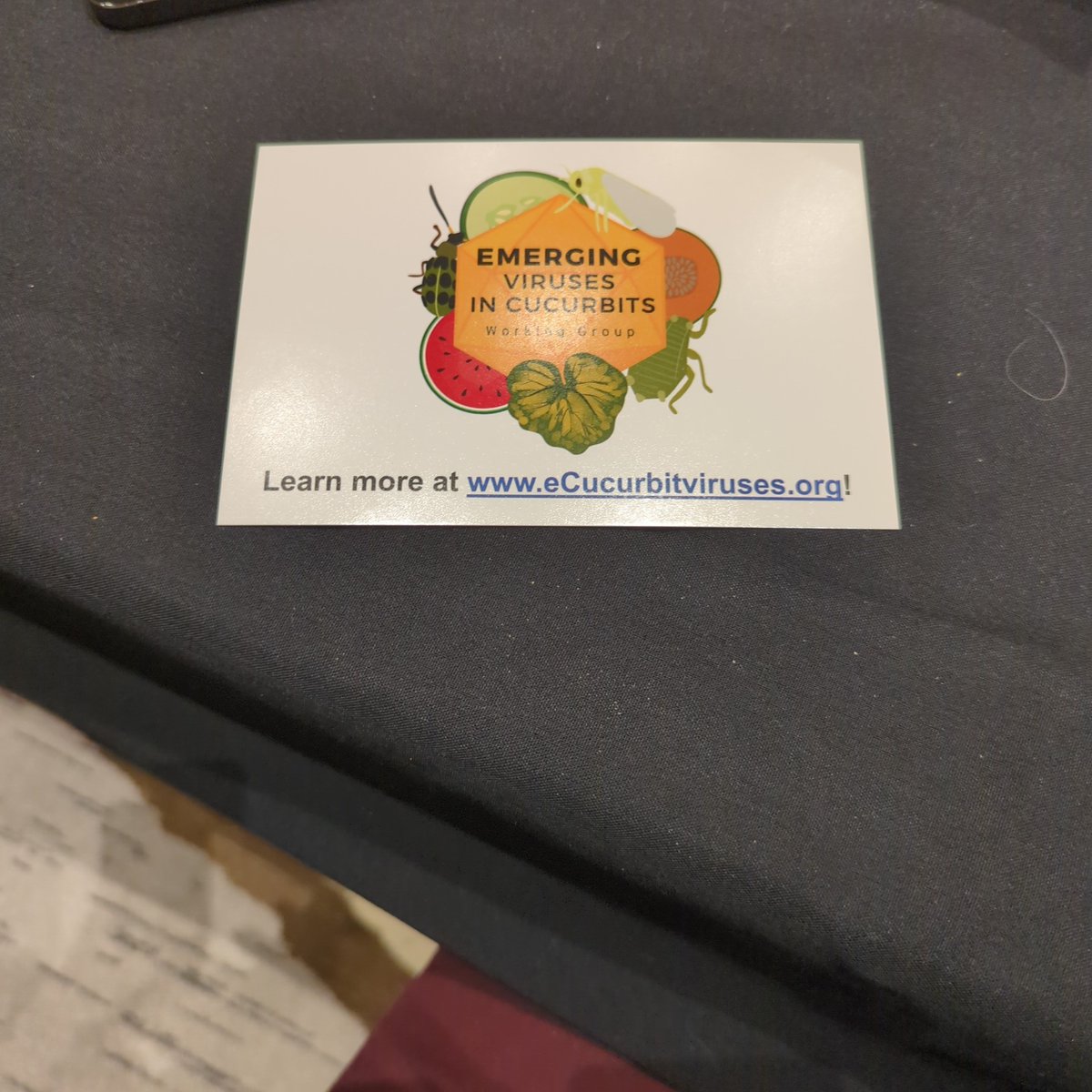 Rebecca Melanson shared the multinational effort to communicate about and improve management of cucurbit viruses ecucurbitviruses.org