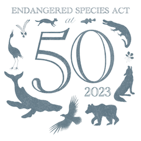EnvAm's tweet photo. The Endangered Species Act, which turns 50 later this year, works. Go #woodstorks! Read more here: https://t.co/bujV45In93 https://t.co/ZERNNNWhla